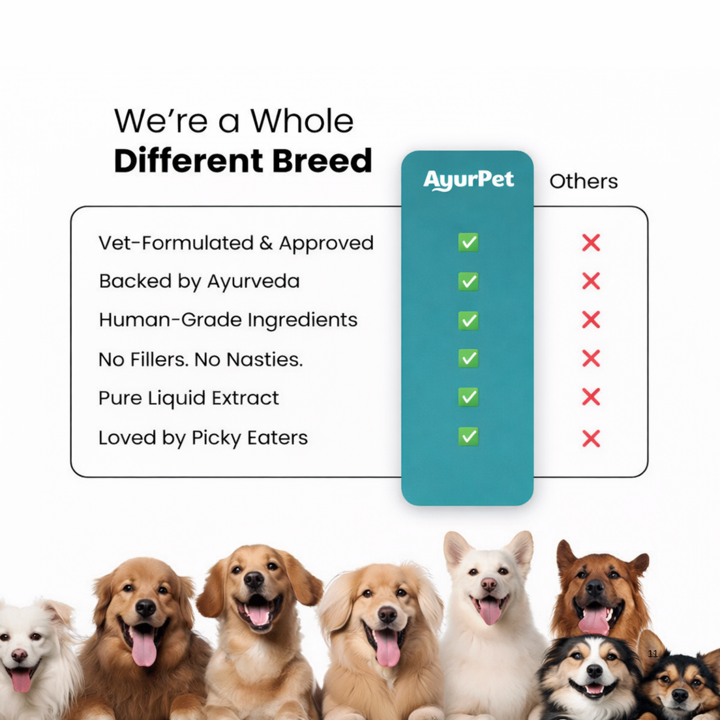 CoolCalm+ | Calming & Behavioral support for Dog | Advanced Ayurveda + Science Backed Formulation