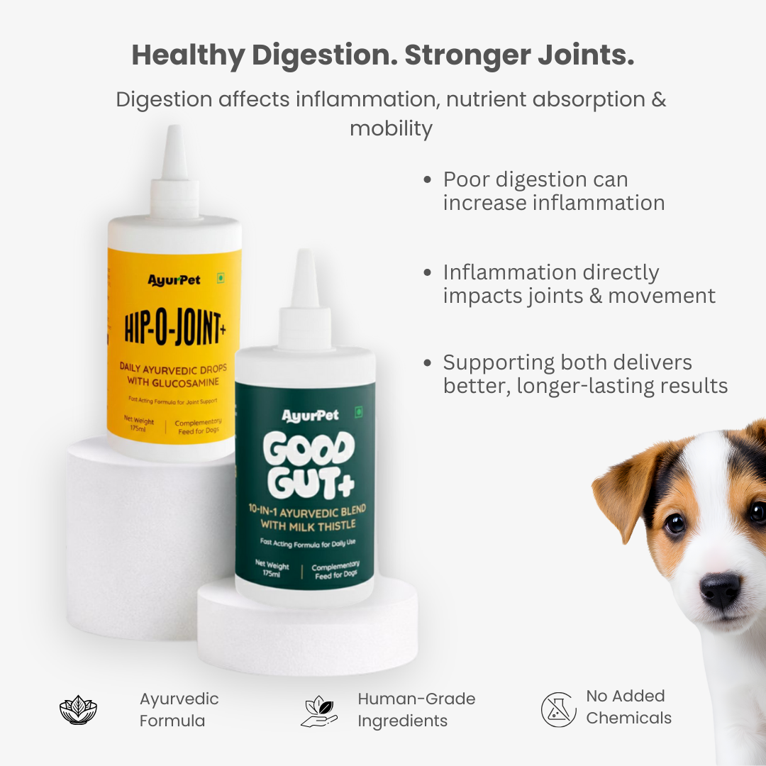 AyurPet Digestive Enzymes and Bone Joint Supplement | GoodGut+ & Hip-O-Joint | Science + Advanced Ayurveda Formulation| 100% Natural