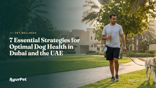 Labrador walking on grass beside its owner at sunrise in a leafy Dubai community, with a water bottle ready for the walk
