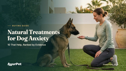 A woman calmly rewarding a sitting German Shepherd with a treat in a Dubai villa garden at sunrise during a training session