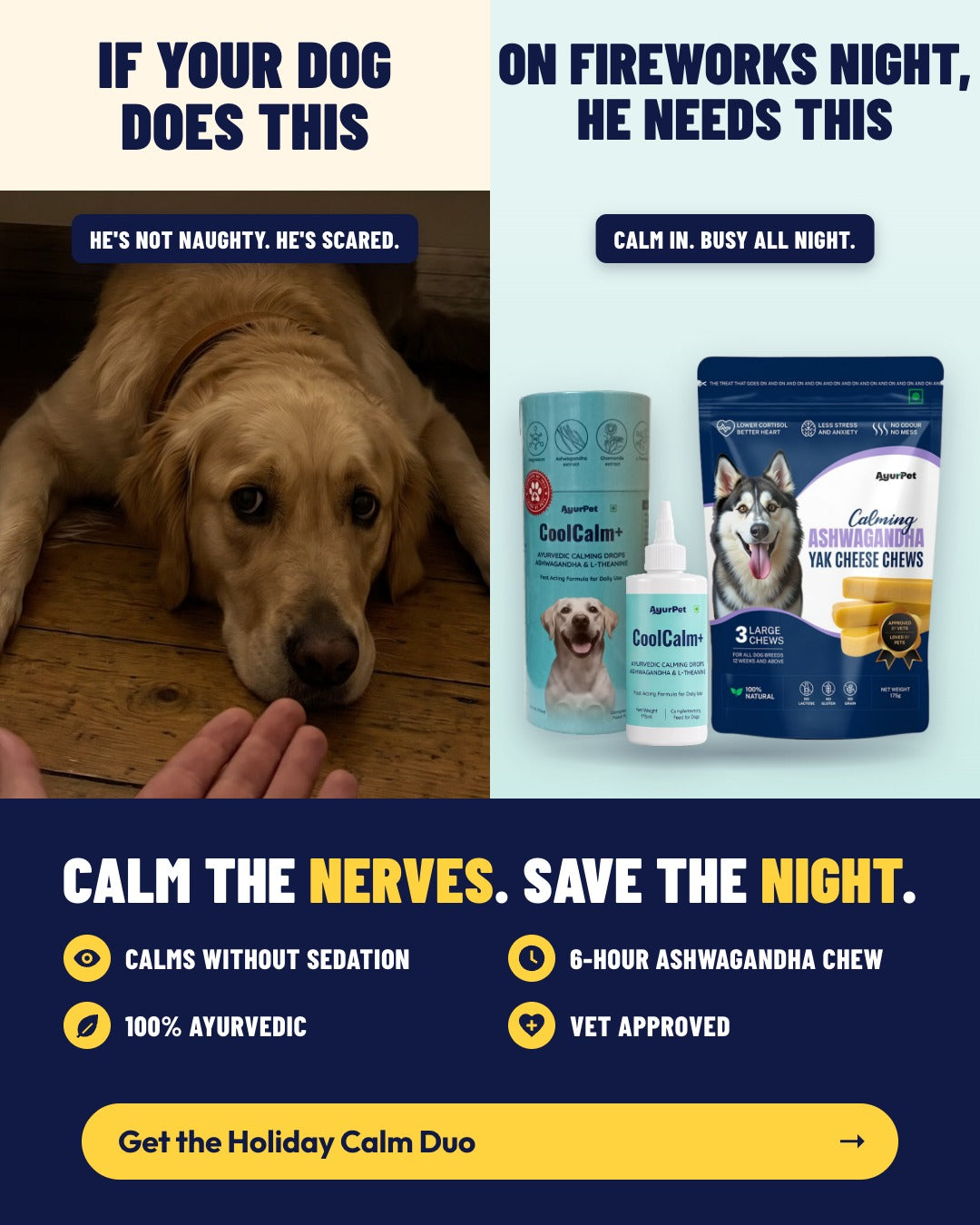 Golden retriever hiding under a bed on fireworks night: he needs the Holiday Calm Duo