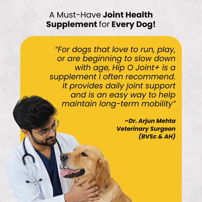 Hip-O-Joint | Joint and Mobility Support | Glucosamine + All Natural Ayurvedic Superherbs