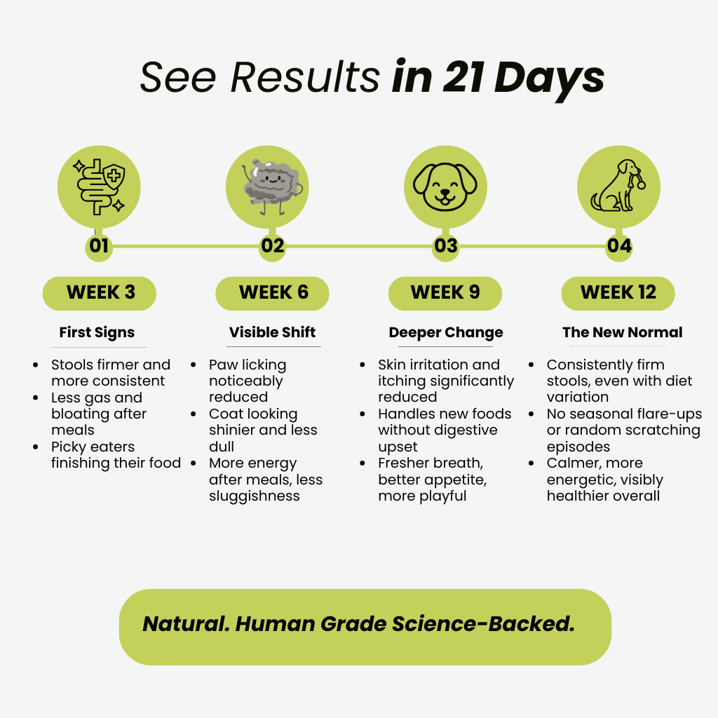 GoodGut+ | Digestive Enzyme Drops for Dog | Advanced Ayurveda + Science Backed Formulation
