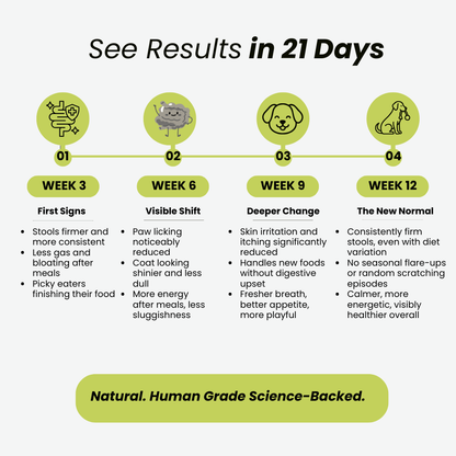 GoodGut+ | Digestive Enzyme Drops for Dog | Advanced Ayurveda + Science Backed Formulation