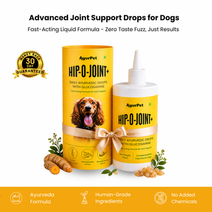 Hip-O-Joint | Joint and Mobility support | Glucosamine + All Natural Ayurvedic Superherbs