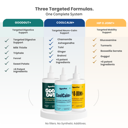 Gut, Mind & Joint Care Trio | GoodGut+ & CoolCalm+ & Hip-O-Joint+ | Science-Backed Ayurvedic Formulation