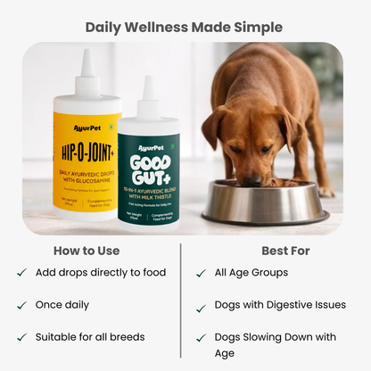 Gut & Joint Care Combo for Dogs | GoodGut+ & Hip-O-Joint | Natural Ayurvedic Formulation