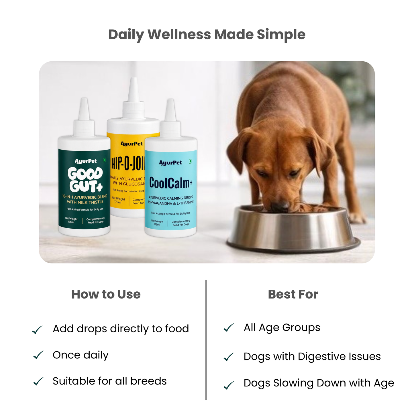 Gut, Mind & Joint Care Trio | GoodGut+ & CoolCalm+ & Hip-O-Joint+ | Science-Backed Ayurvedic Formulation