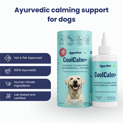 CoolCalm+ | Calming & Behavioral support for Dog | Advanced Ayurveda + Science Backed Formulation