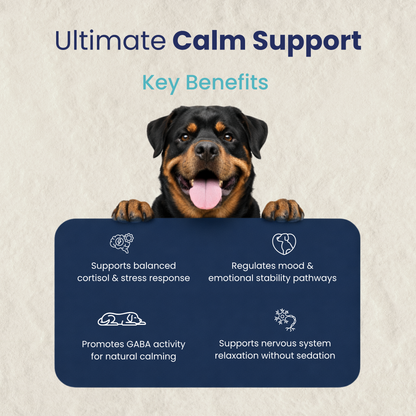 CoolCalm+ | Calming & Behavioral support for Dog | Advanced Ayurveda + Science Backed Formulation