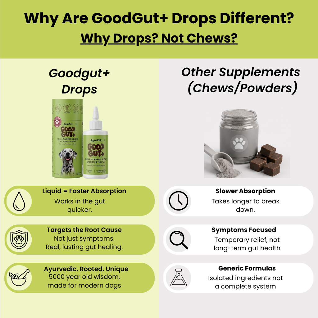GoodGut+|  Digestive Enzymes & Prebiotics | Gut & Liver Health, Reduced Scratching & Paw-Licking | 100% Natural
