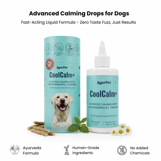 CoolCalm+ | Calming & Behavioral support for Dog | Advanced Ayurveda + Science Backed Formulation