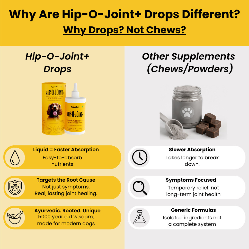 Hip-O-Joint | Joint and Mobility Support | Glucosamine + All Natural Ayurvedic Superherbs