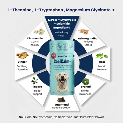 CoolCalm+ | Calming & Behavioral support for Dog | Advanced Ayurveda + Science Backed Formulation