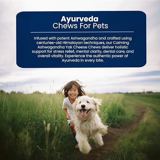 Yak Cheese Chews – 6-Hour Long-Lasting Dental Treats for Dogs | Mental Stimulation + Daily Wellness | Natural, 100% Veg, Protein-Rich | Pack of 1 Chew