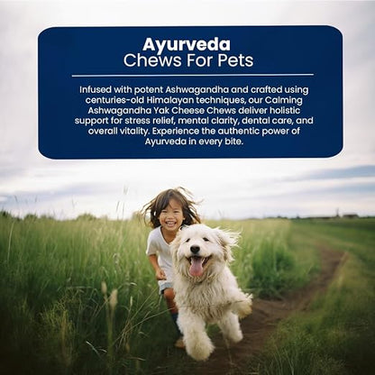 Yak Cheese Chews – 6-Hour Long-Lasting Dental Treats for Dogs | Mental Stimulation + Daily Wellness | Natural, 100% Veg, Protein-Rich | Pack of 1 Chew