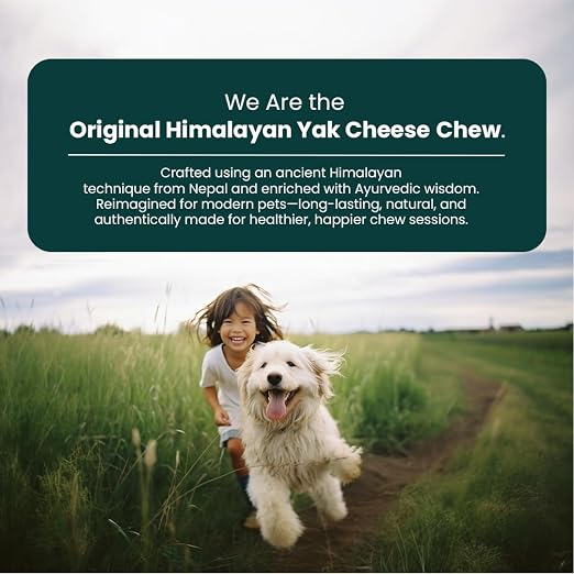 Yak Cheese Chews – 6-Hour Long-Lasting Dental Treats for Dogs | Mental Stimulation + Daily Wellness | Natural, 100% Veg, Protein-Rich | Pack of 1 Chew