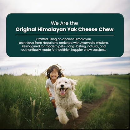Yak Cheese Chews – 6-Hour Long-Lasting Dental Treats for Dogs | Mental Stimulation + Daily Wellness | Natural, 100% Veg, Protein-Rich | Pack of 1 Chew