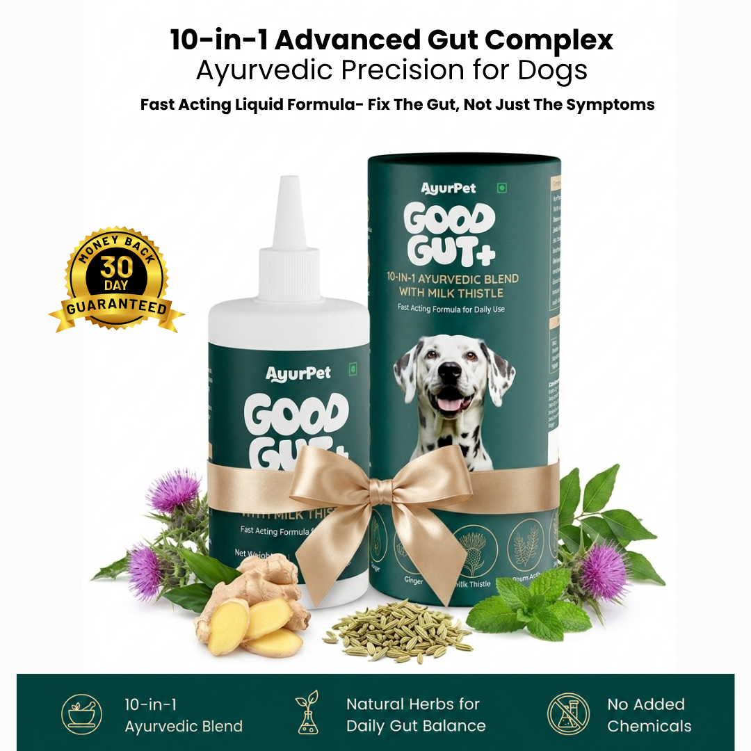 GoodGut+ | Digestive Enzyme Drops for Dog | Advanced Ayurveda + Science Backed Formulation