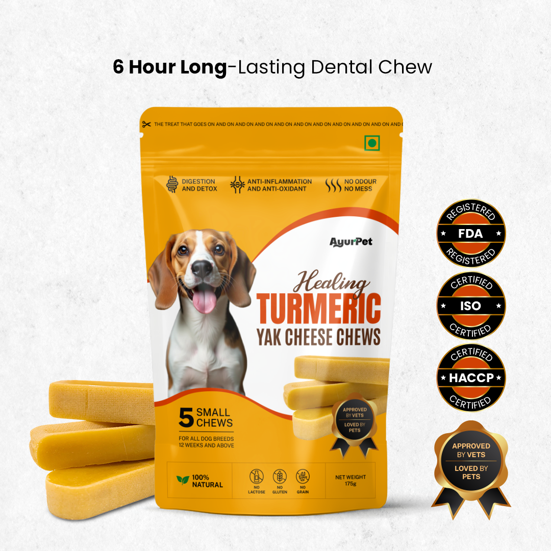 Healing Turmeric Yak Cheese Chews