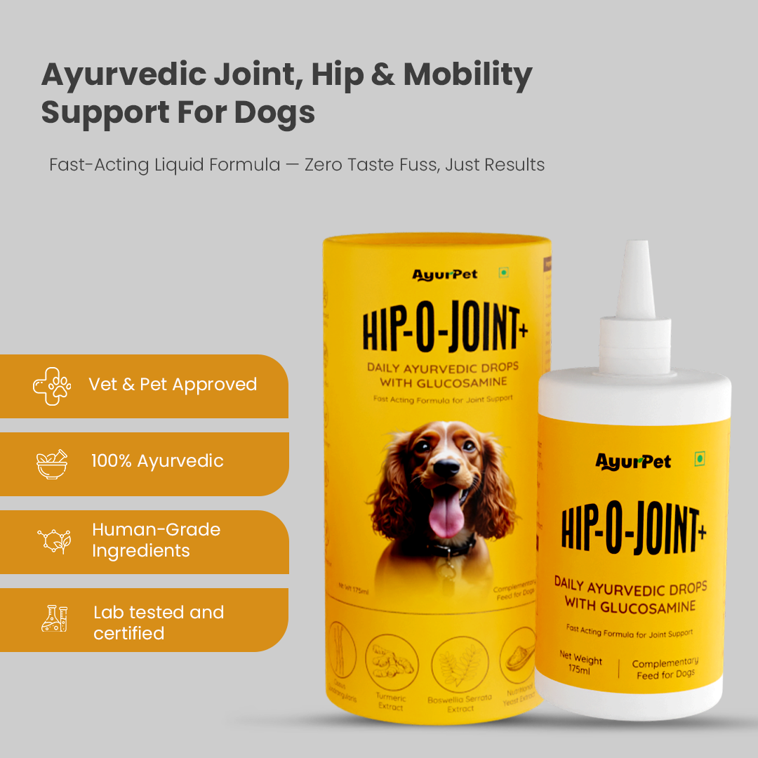 Hip-O-Joint | Joint and Mobility support | Glucosamine + All Natural Ayurvedic Superherbs