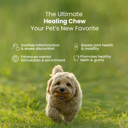 Healing Turmeric Yak Cheese Chews | 6-Hour Long Lasting Dental Chew