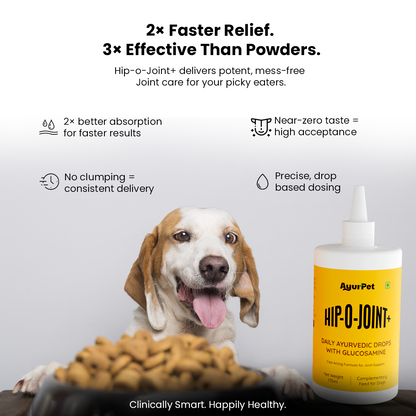 Hip-O-Joint | Joint and Mobility support | Glucosamine + All Natural Ayurvedic Superherbs