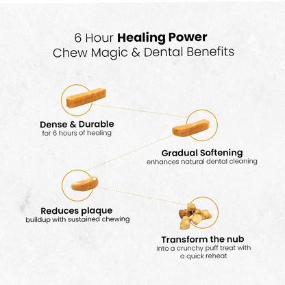 Healing Turmeric Yak Cheese Chews | 6-Hour Long Lasting Dental Chew
