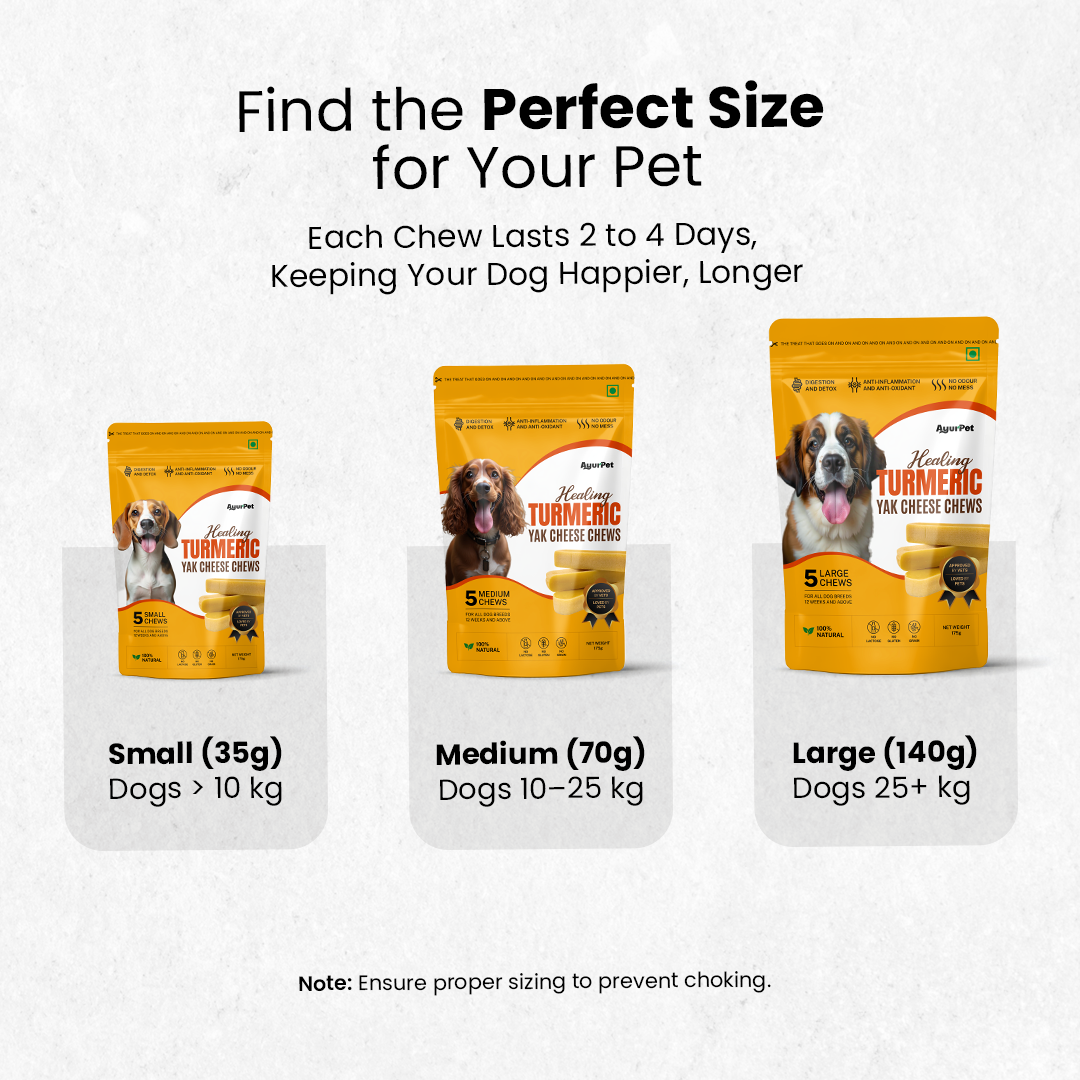 Healing Turmeric Yak Cheese Chews | 6-Hour Long Lasting Dental Chew