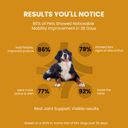 Hip-O-Joint | Joint and Mobility support | Glucosamine + All Natural Ayurvedic Superherbs