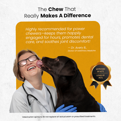 Healing Turmeric Yak Cheese Chews | 6-Hour Long Lasting Dental Chew