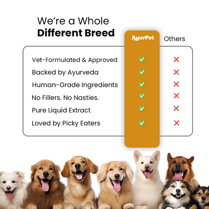 Hip-O-Joint | Joint and Mobility support | Glucosamine + All Natural Ayurvedic Superherbs