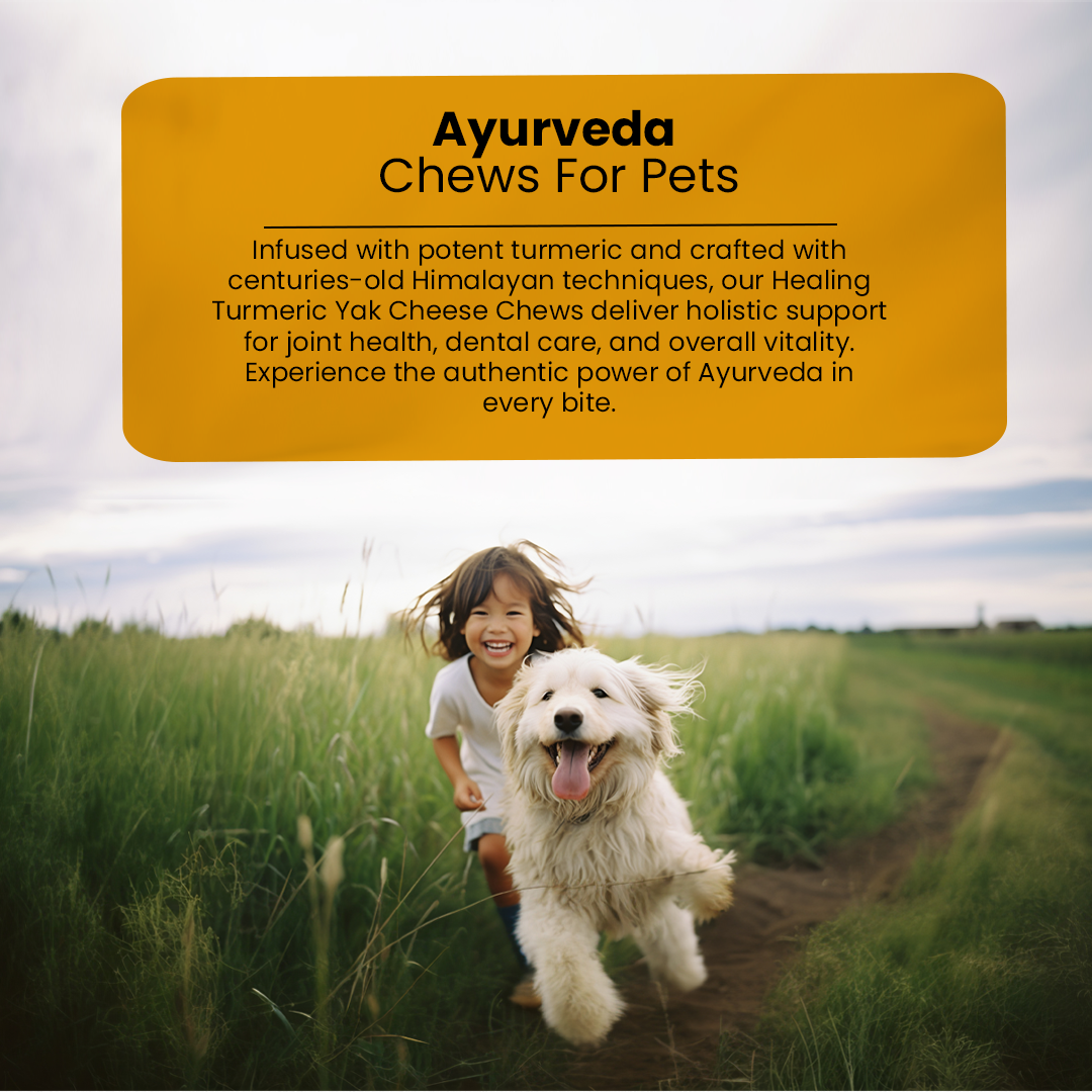Healing Turmeric Yak Cheese Chews | 6-Hour Long Lasting Dental Chew