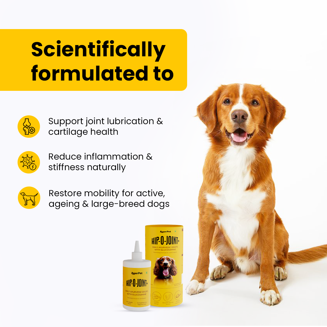 Hip-O-Joint | Joint and Mobility support | Glucosamine + All Natural Ayurvedic Superherbs