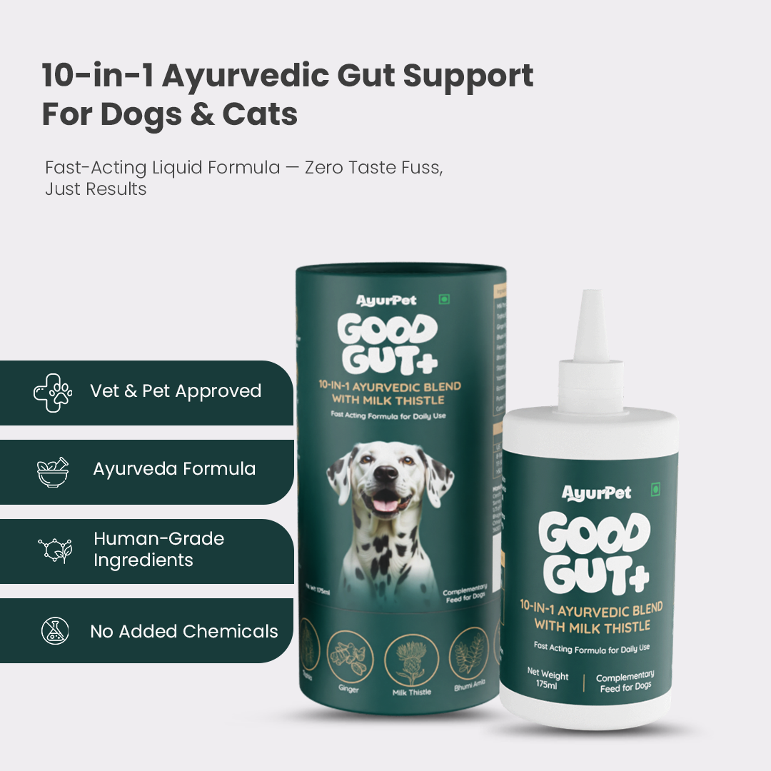 GoodGut+ | Digestive Enzyme Drops for Dog | Advanced Ayurveda + Science Backed Formulation