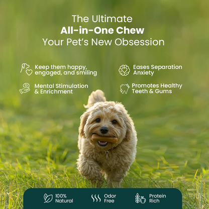 Original Himalayan Yak Cheese Chews | 6-Hour Long Lasting Dental Chew