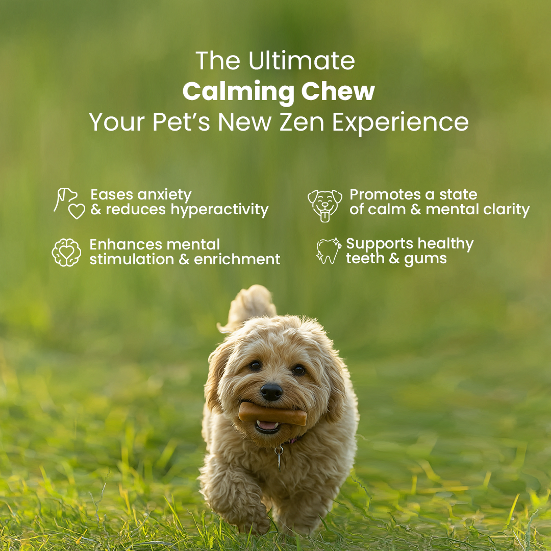 Calming Ashwagandha Yak Cheese Chews