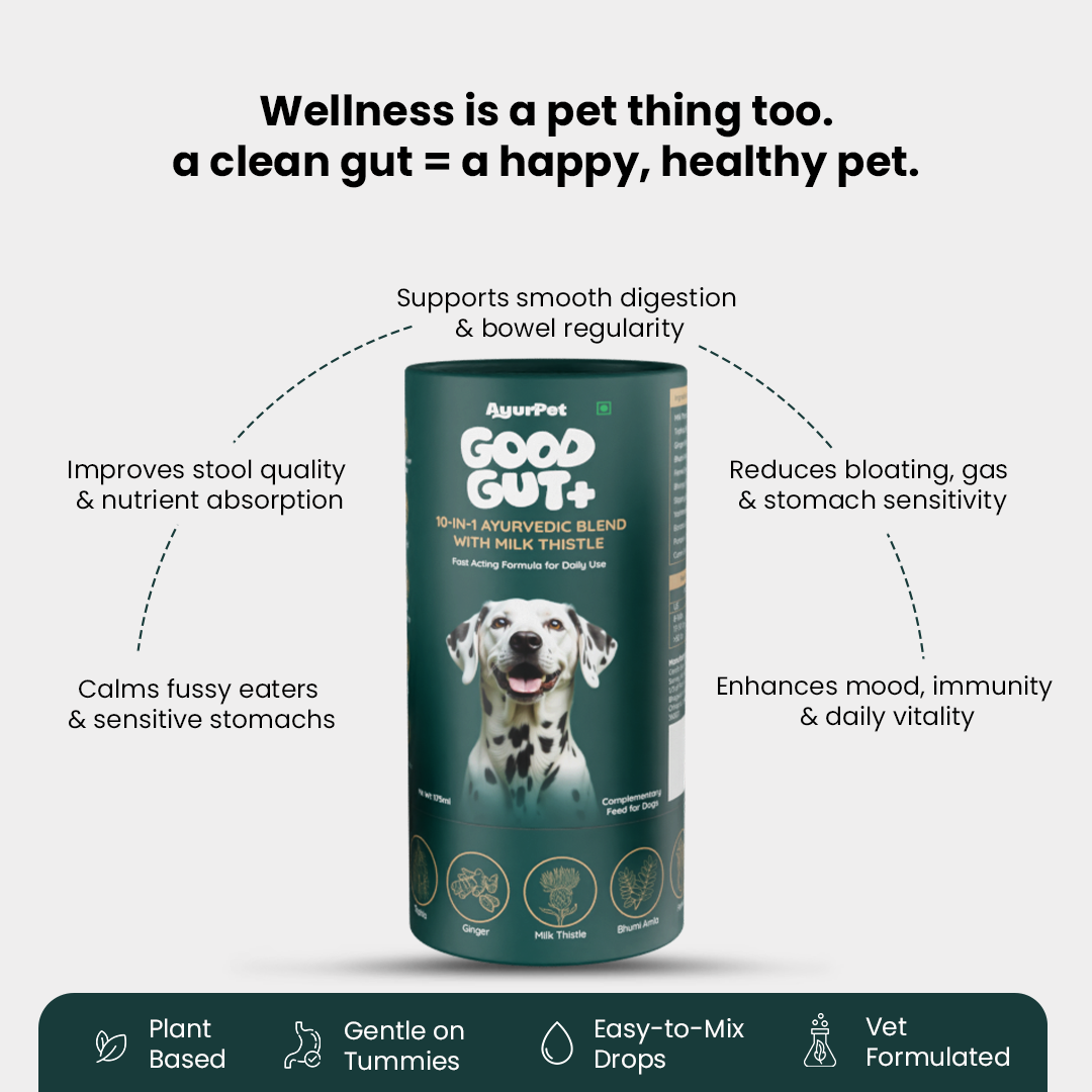 GoodGut+ | Digestive Enzyme Drops for Dog | Advanced Ayurveda + Science Backed Formulation