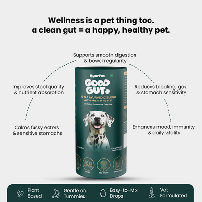 GoodGut+ | Digestive Enzyme Drops for Dog | Advanced Ayurveda + Science Backed Formulation