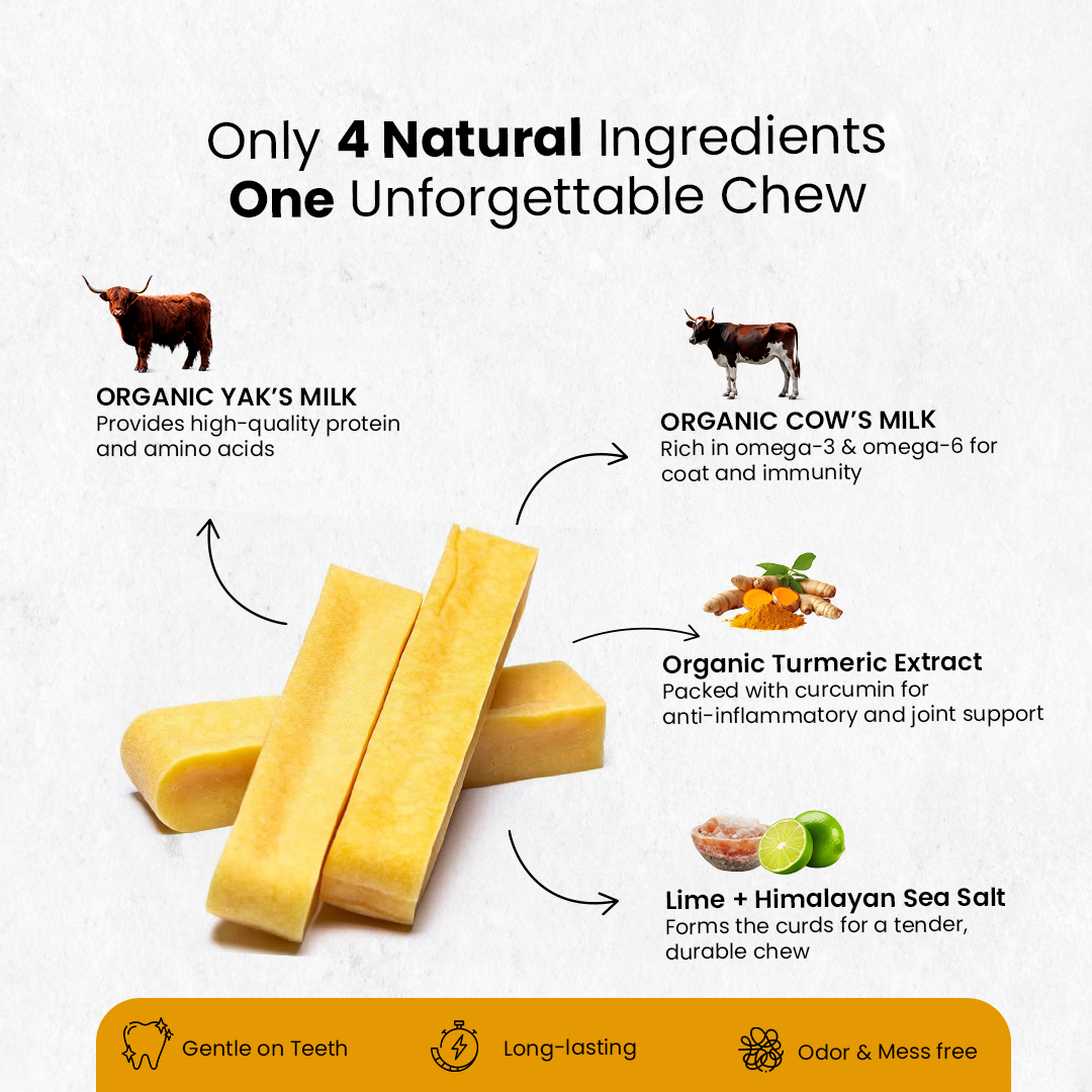 Healing Turmeric Yak Cheese Chews | 6-Hour Long Lasting Dental Chew