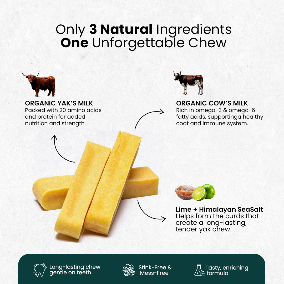 Original Himalayan Yak Cheese Chews | 6-Hour Long Lasting Dental Chew