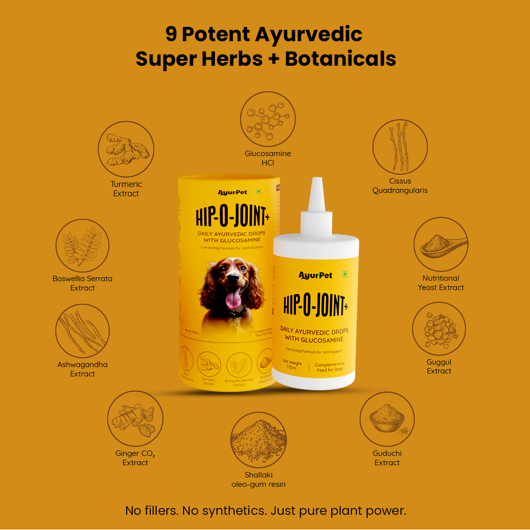 Hip-O-Joint | Joint and Mobility support | Glucosamine + All Natural Ayurvedic Superherbs