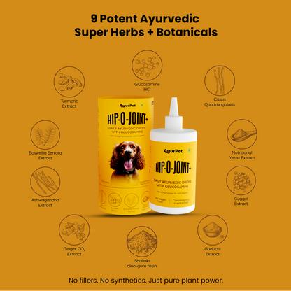 Hip-O-Joint | Joint and Mobility support | Glucosamine + All Natural Ayurvedic Superherbs
