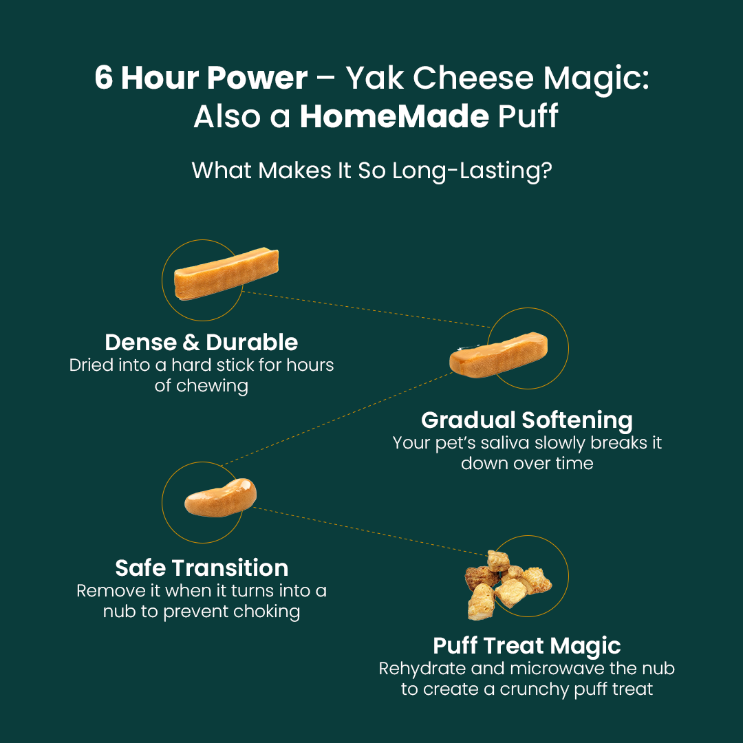 Original Himalayan Yak Cheese Chews | 6-Hour Long Lasting Dental Chew