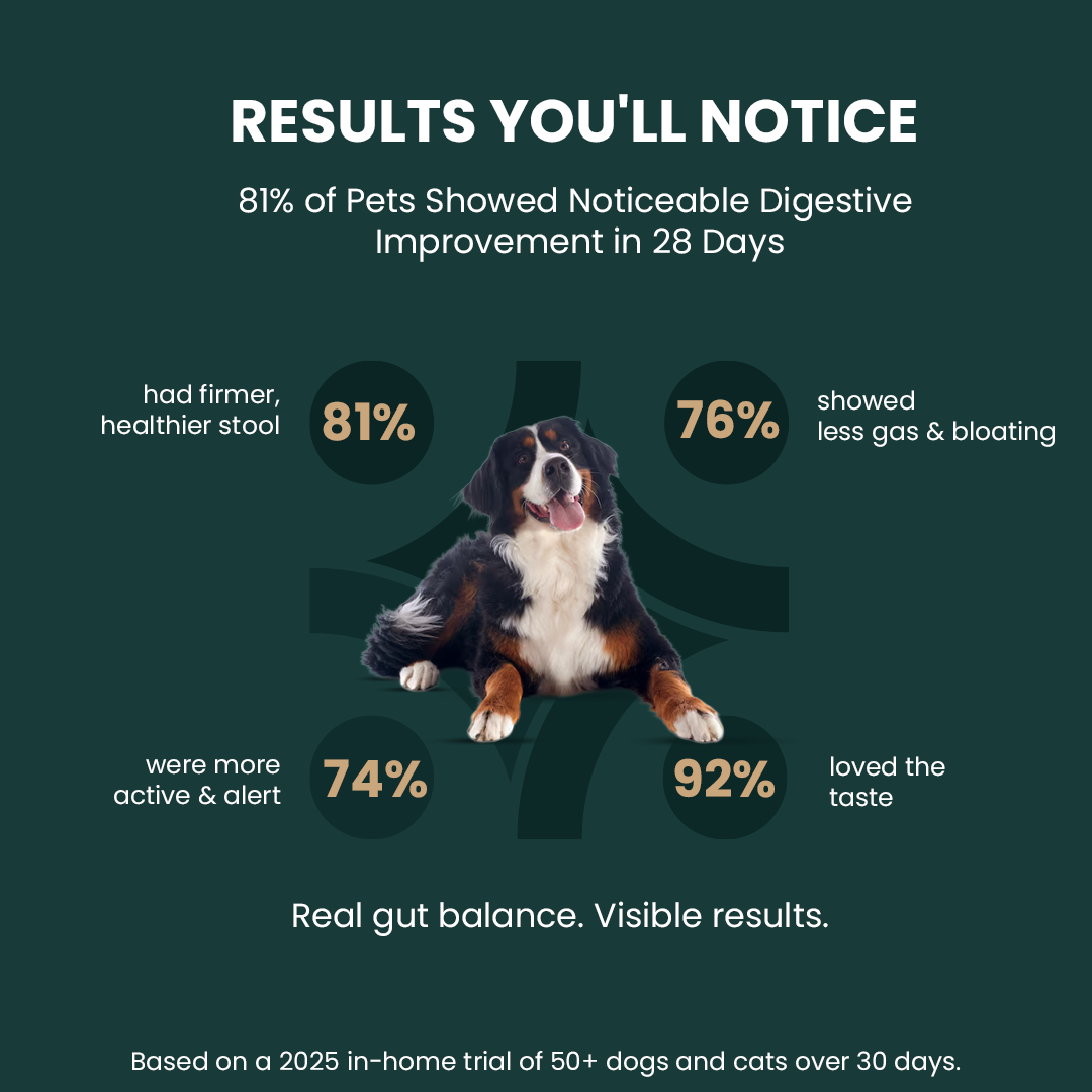 GoodGut+ | Digestive Enzyme Drops for Dog | Advanced Ayurveda + Science Backed Formulation