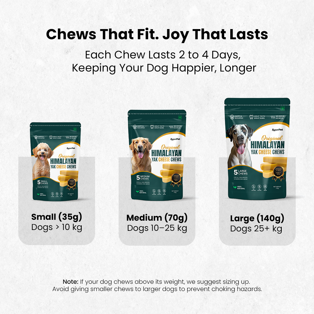 Original Himalayan Yak Cheese Chews | 6-Hour Long Lasting Dental Chew