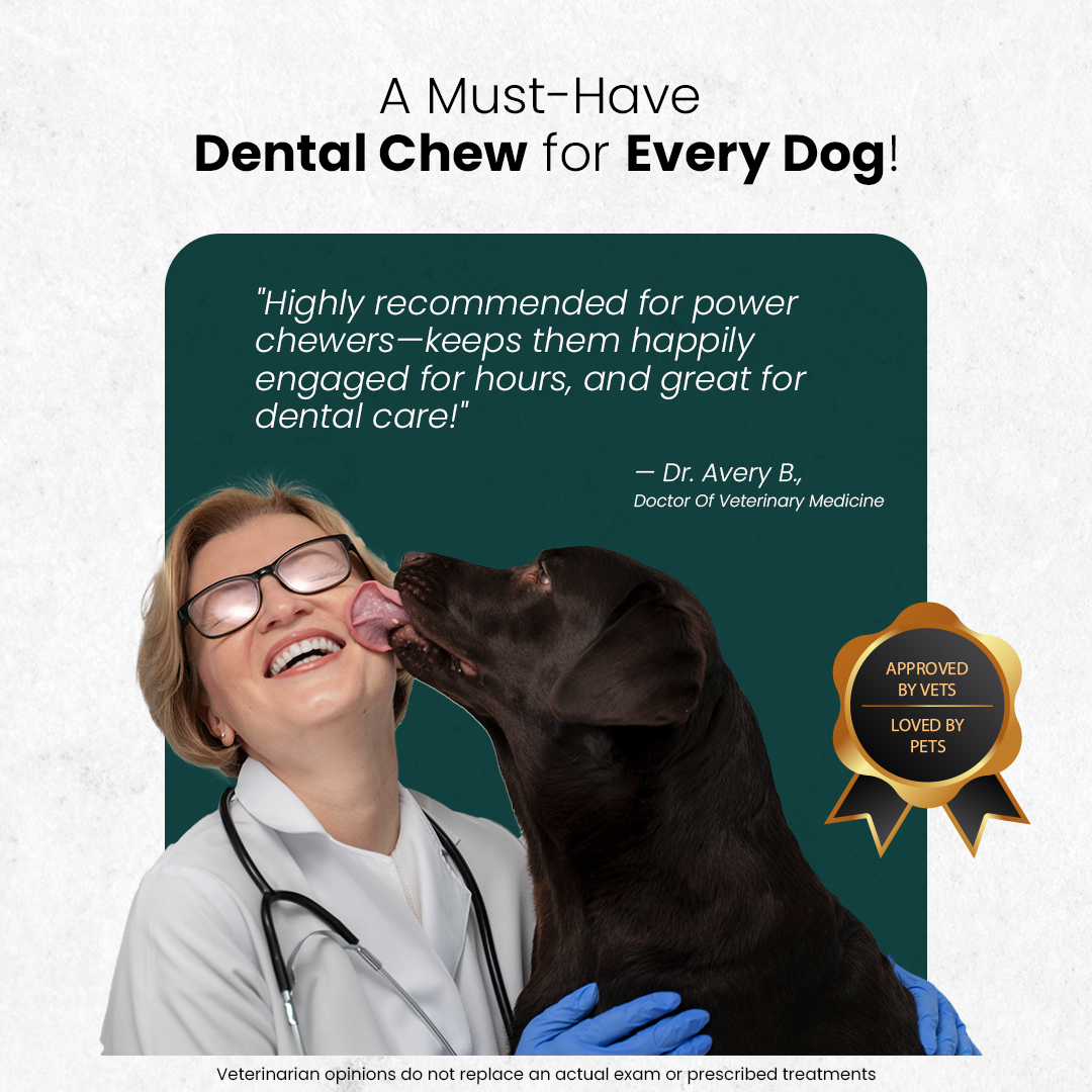 Original Himalayan Yak Cheese Chews | 6-Hour Long Lasting Dental Chew