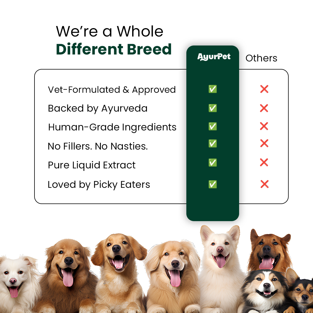 GoodGut+ | Digestive Enzyme Drops for Dog | Advanced Ayurveda + Science Backed Formulation