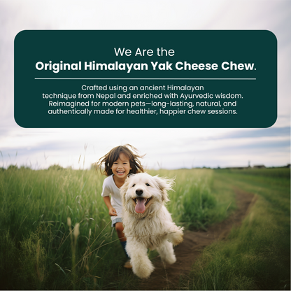 Original Himalayan Yak Cheese Chews | 6-Hour Long Lasting Dental Chew