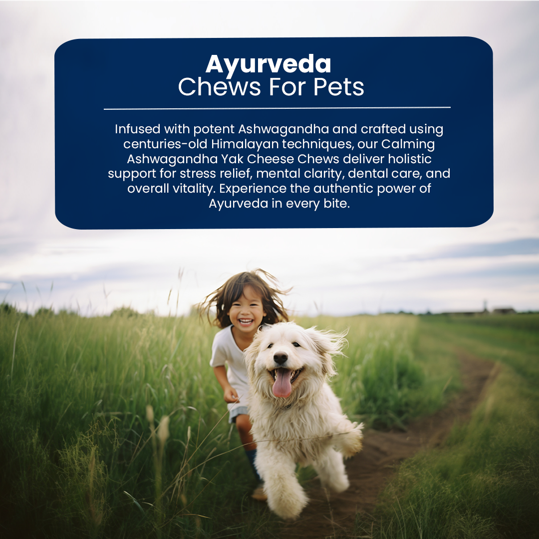 Calming Ashwagandha Yak Cheese Chews | 6-Hour Long Lasting Dental Chew